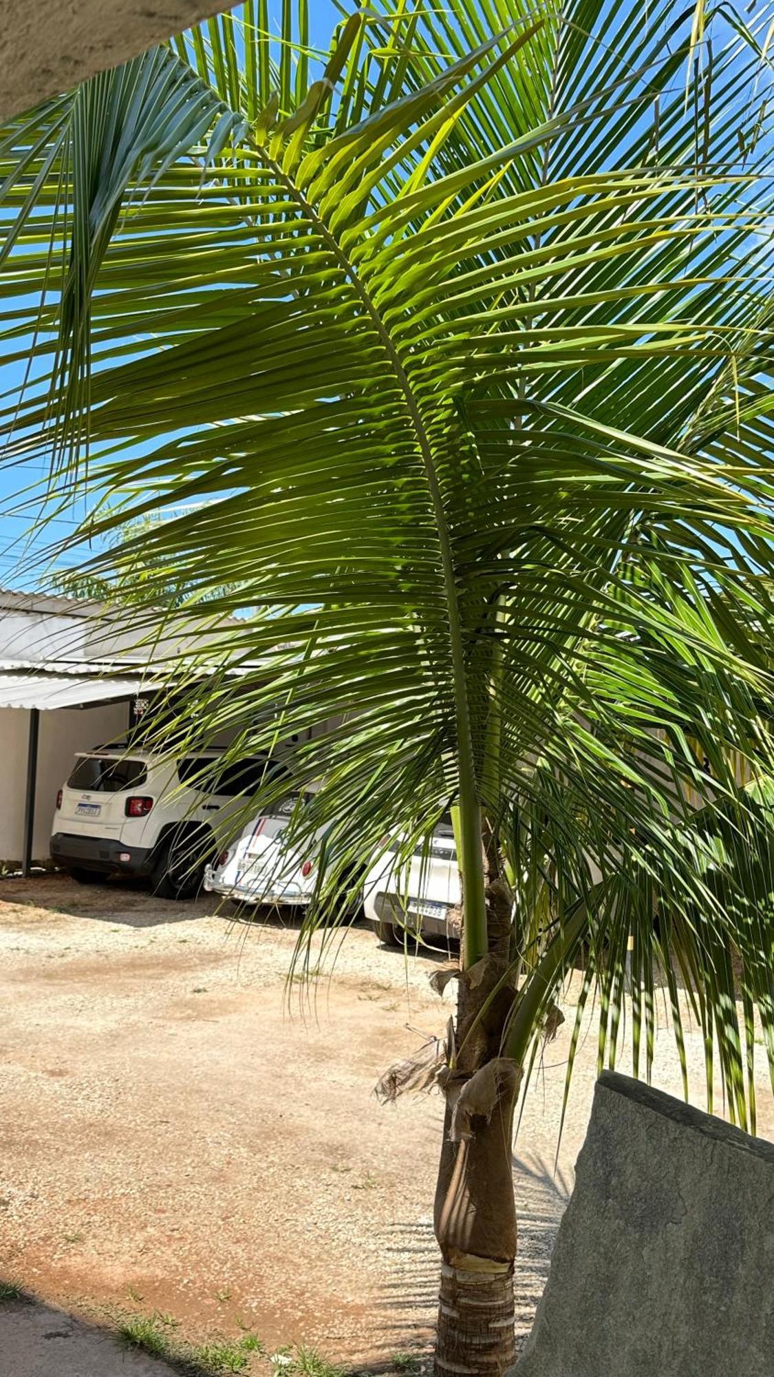Pousada Caminho Das Cachoeiras Pirenopolis Exterior photo